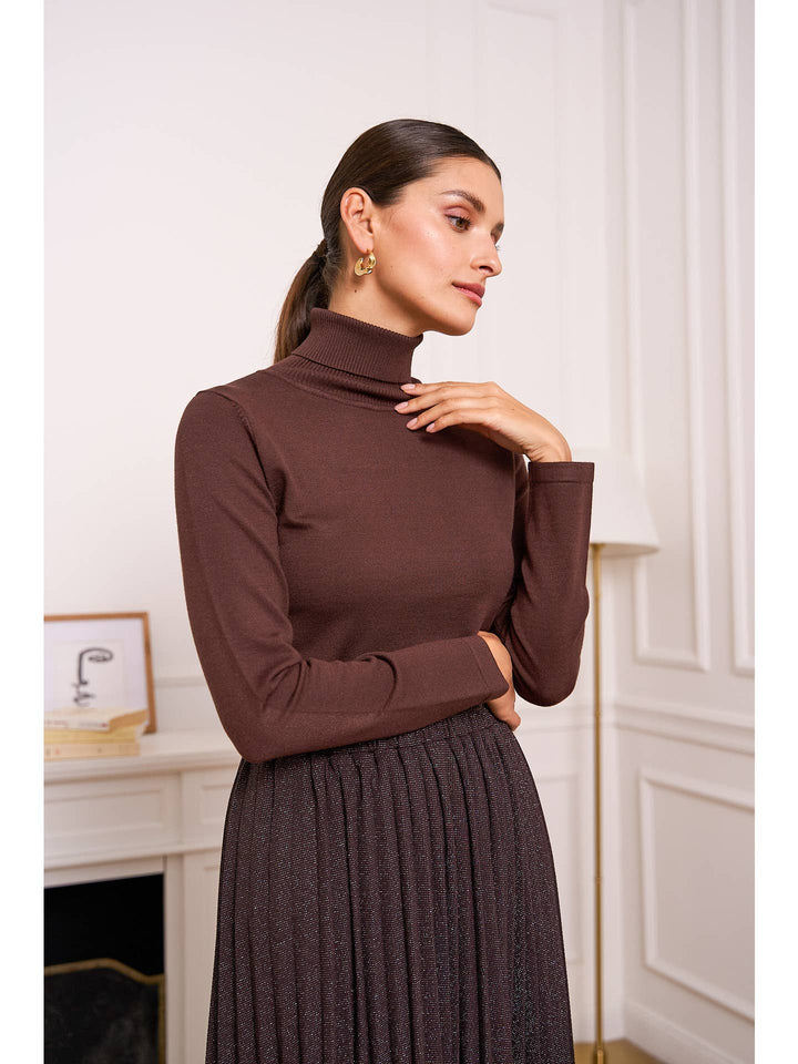 Chocolate knitted turtle neck